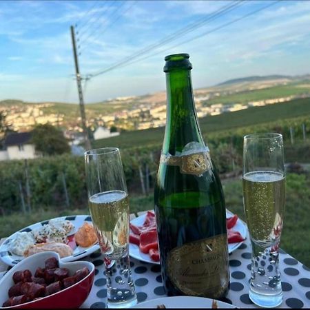 Dans Les Vignes D'Epernay Villa Dış mekan fotoğraf