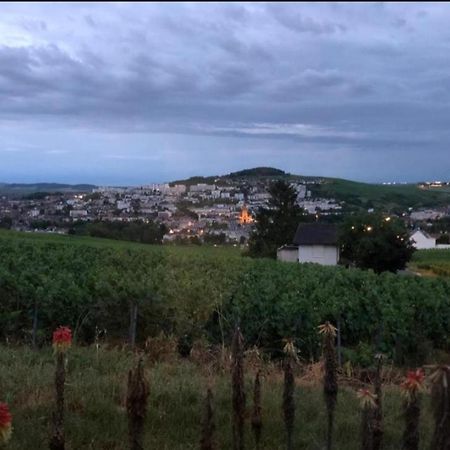 Dans Les Vignes D'Epernay Villa Dış mekan fotoğraf