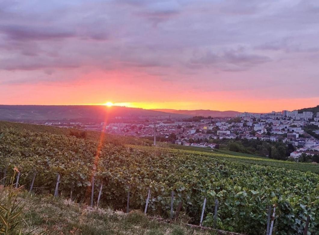 Dans Les Vignes D'Epernay Villa Dış mekan fotoğraf