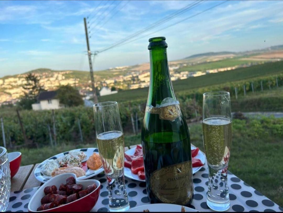 Dans Les Vignes D'Epernay Villa Dış mekan fotoğraf