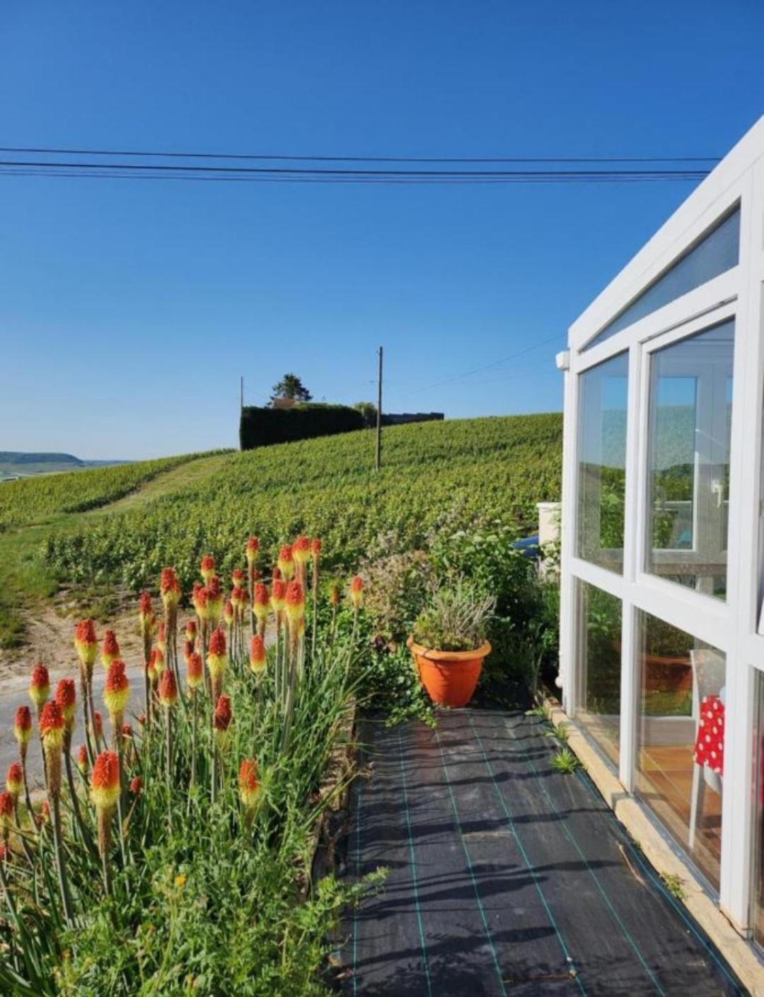 Dans Les Vignes D'Epernay Villa Dış mekan fotoğraf