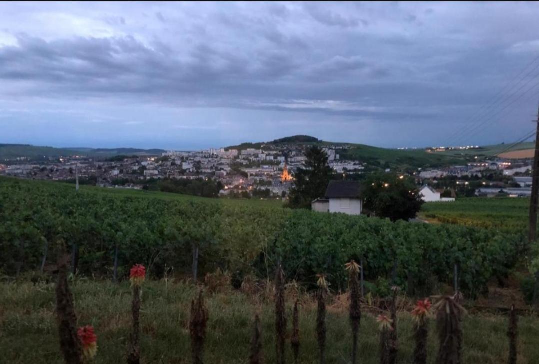 Dans Les Vignes D'Epernay Villa Dış mekan fotoğraf